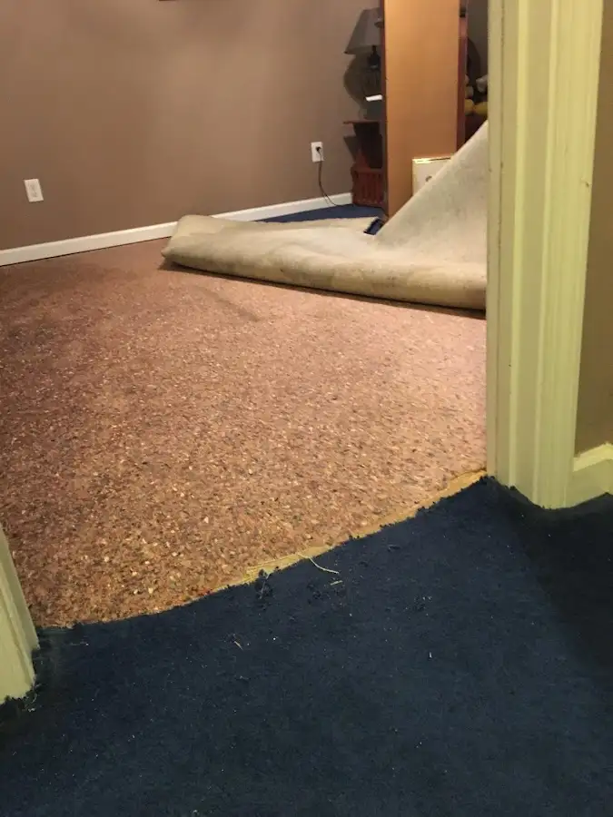 Carpet pad removal revealing water damage during Water Mitigation Services in Shamong