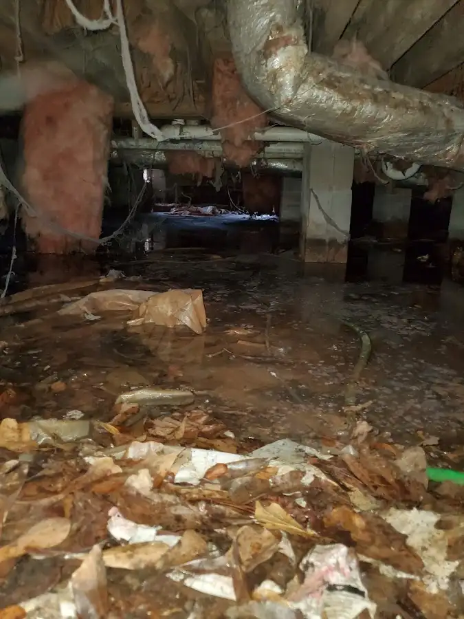 Crawl space flood assessment for Leak Detection & Repair in Shamong